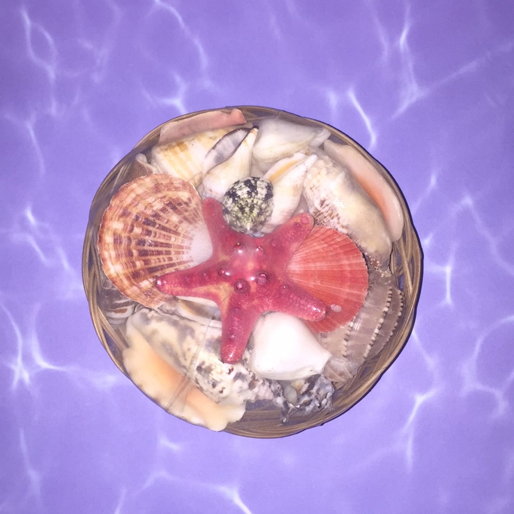 🆕 Sea shells in a bucket 🐚🏖🐬🏝